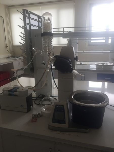 Lab Foto